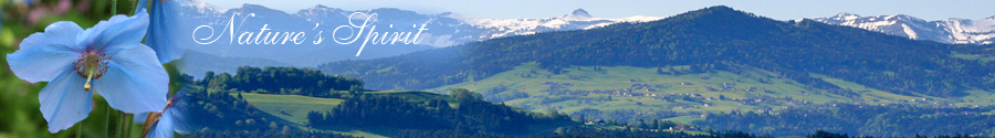 Nature Banner